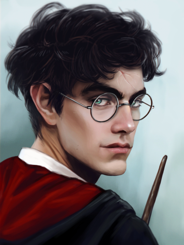 I'm Harry Potter, from now on Book