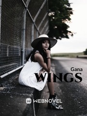 the dreams got wings Book