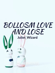 Juliet basil writing this novel about romance fiction to motivate Book