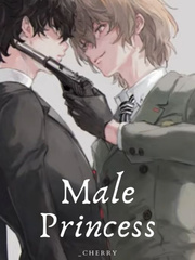 Male Princess Book