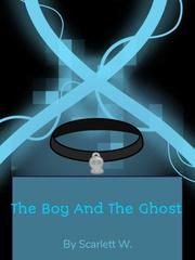 The Boy And The Ghost Book