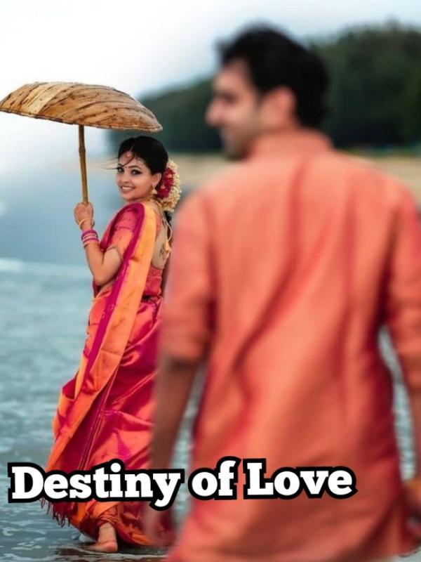 Destiny of Love Book