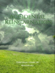 Accidental Reincarnation Book