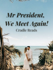 Mr President, We Meet Again! Book