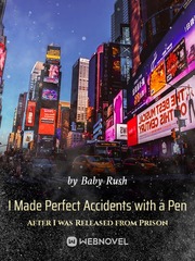 I Made Perfect Accidents with a Pen After I was Released from Prison Book