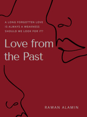 Love from the Past Book