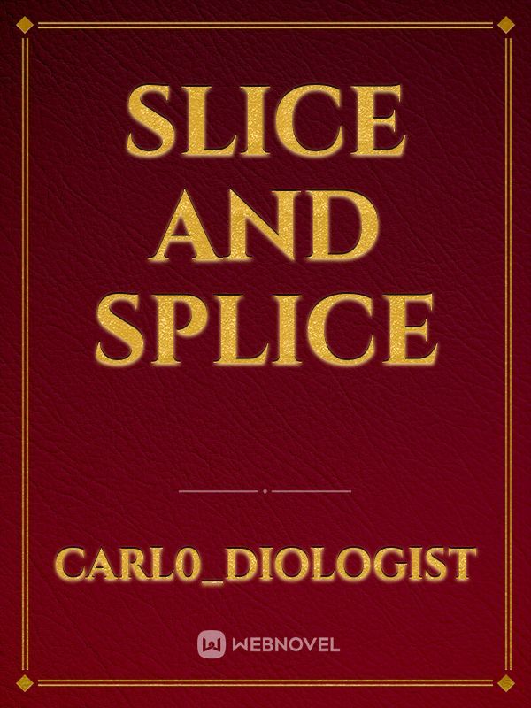 Slice and Splice Book