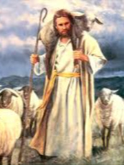 The Shepherd's and the sheeps Book