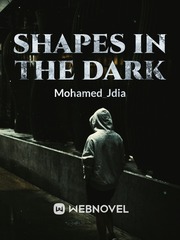 Shapes in the Dark Book