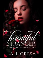 Fragments of Memories 2: Beautiful Stranger Book