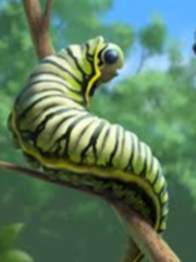 The caterpillar dilemma in a fantasy world Book