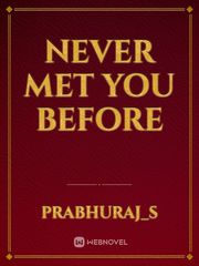 Never met you before Book