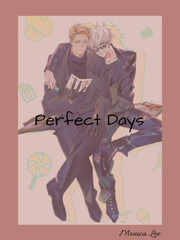 Perfect Days Book