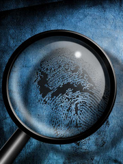 Detective freeland murder case Book