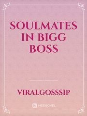 Soulmates in bigg boss Book