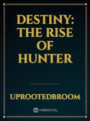 Destiny: The Rise of Hunter Book