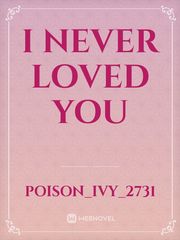 I never loved you Book