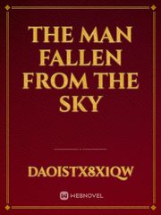 The Man Fallen From the Sky Book