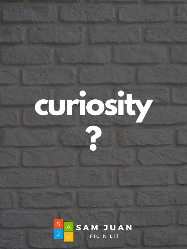 Curiosity (Short Pinoy BL) Book