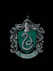 Better Be Slytherin! Book