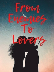 From Enemies to lovers Book