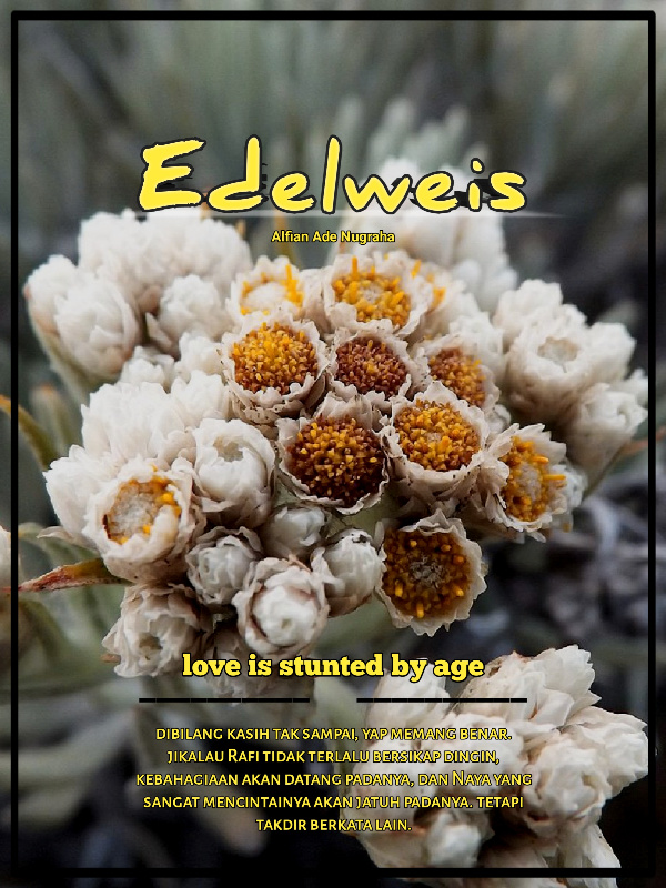 Edelweis Book