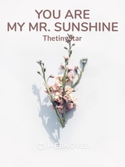 YOU ARE MY MR. SUNSHINE Book
