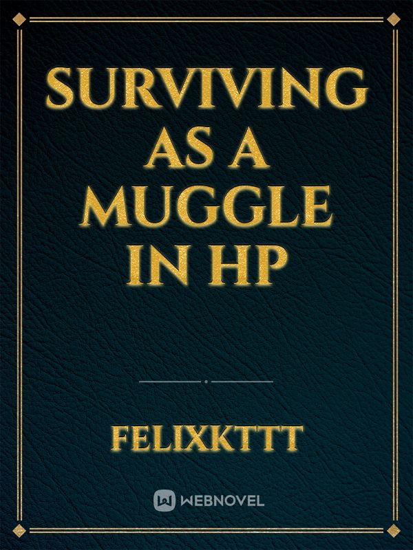 Surviving as a Muggle in HP