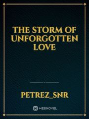 THE STORM OF UNFORGOTTEN LOVE Book