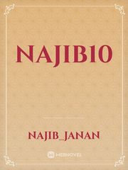 Najib10 Book