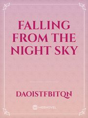 Falling from the Night Sky Book