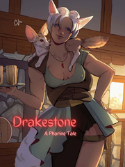 Drakestone Book