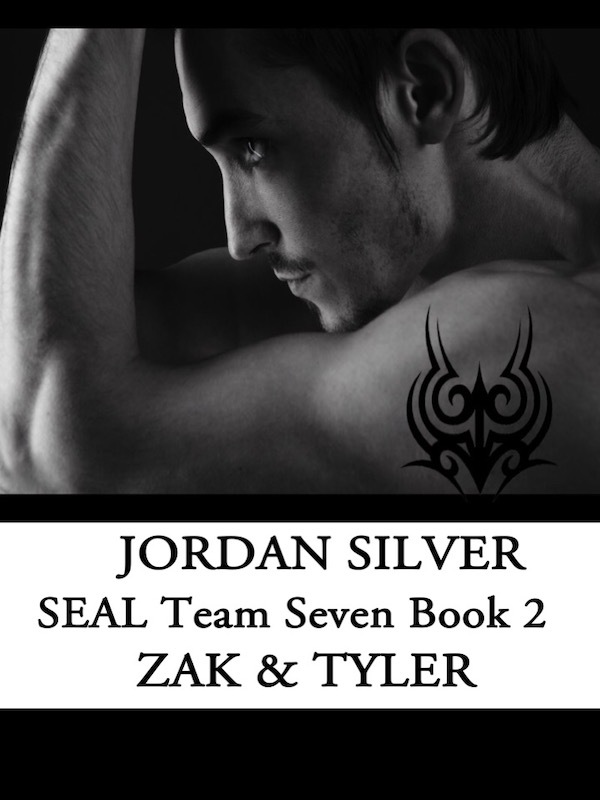SEAL Team Zak and Tyler Book