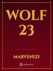 Wolf 23 Book