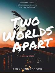 Two Worlds Divided Book