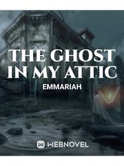 The ghost in my attic Book