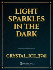 Light Sparkles In The Dark Book