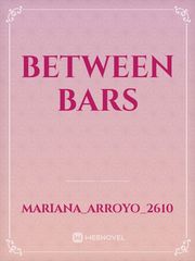 Between bars Book