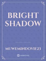 Bright shadow Book