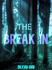The Break In Book