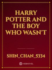 Harry Potter And The Boy Who Wasn't Book