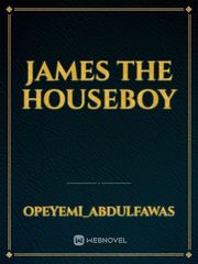 James the houseboy Book