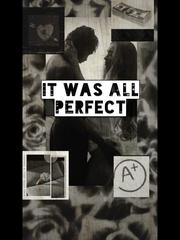 It Was All Perfect Book