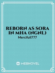 Reborn as Sora in MHA (NGNL) Dropped Book