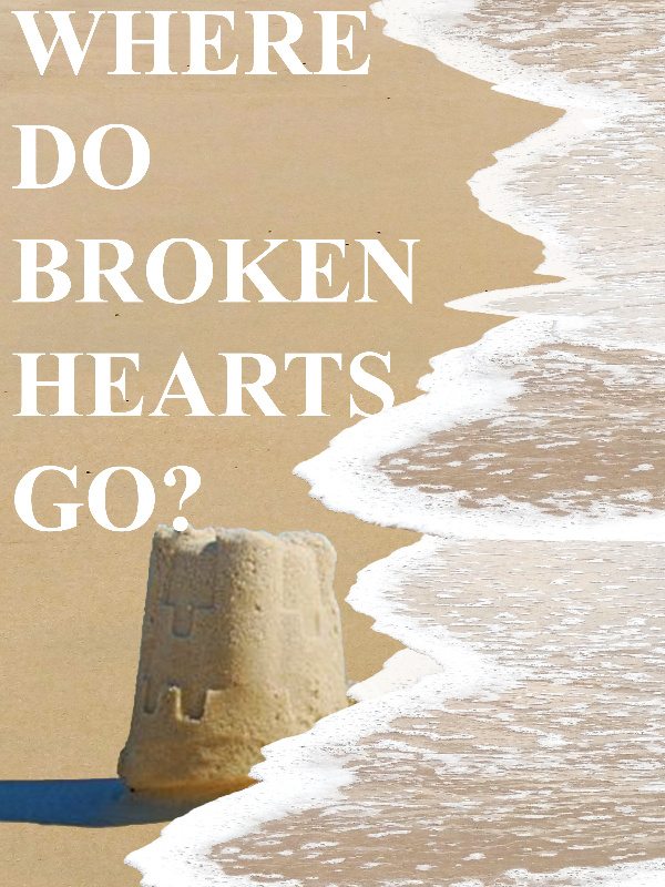 Where Do Broken Hearts Go? Book