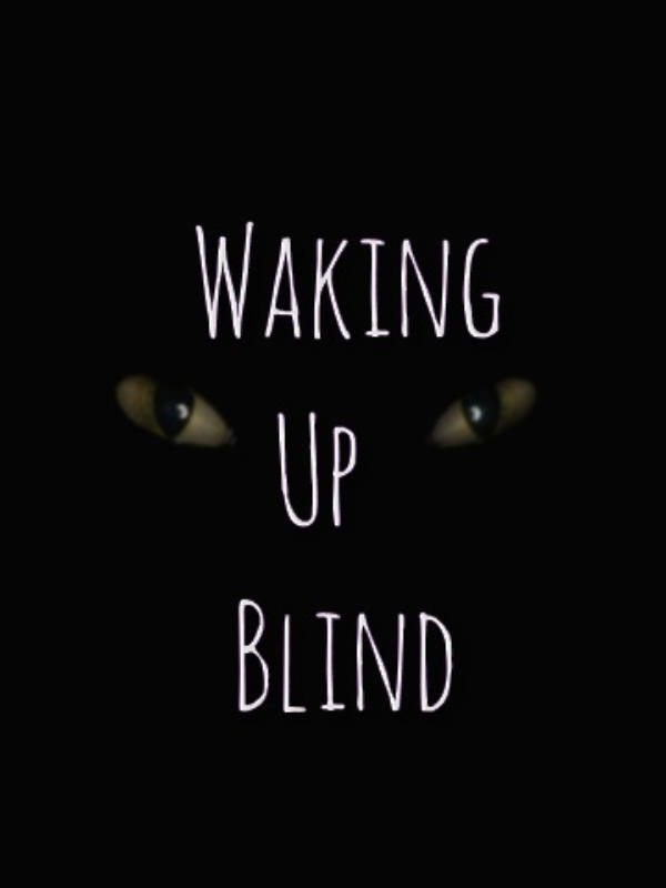 Waking Up Blind Book