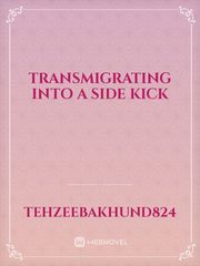 transmigrating into a side kick Book