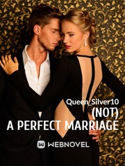 (Not) A Perfect Marriage Book