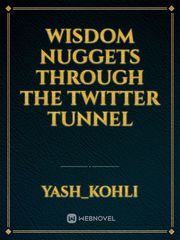 WISDOM NUGGETS THROUGH THE TWITTER TUNNEL Book