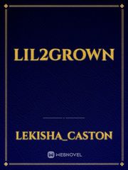 Lil2grown Book